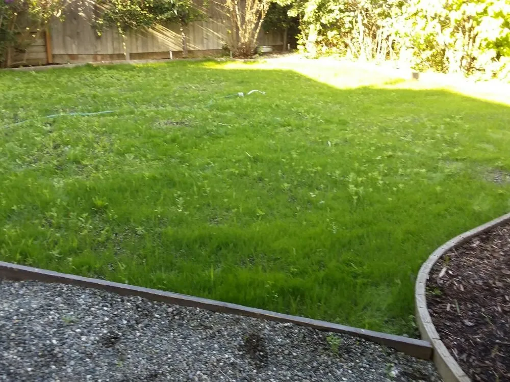 Top-rated landscape design in Coupeville, WA by Michael's Lawn and Garden