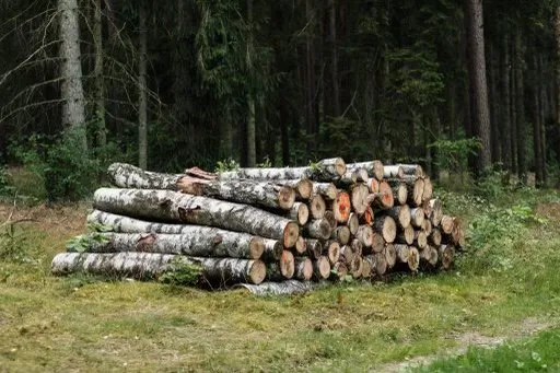 Trusted landscaping services near you across Sewickley, PA - Michaels Lawn and Snow