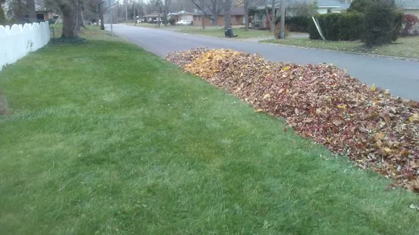 Michaels Lawn and Snow Logo