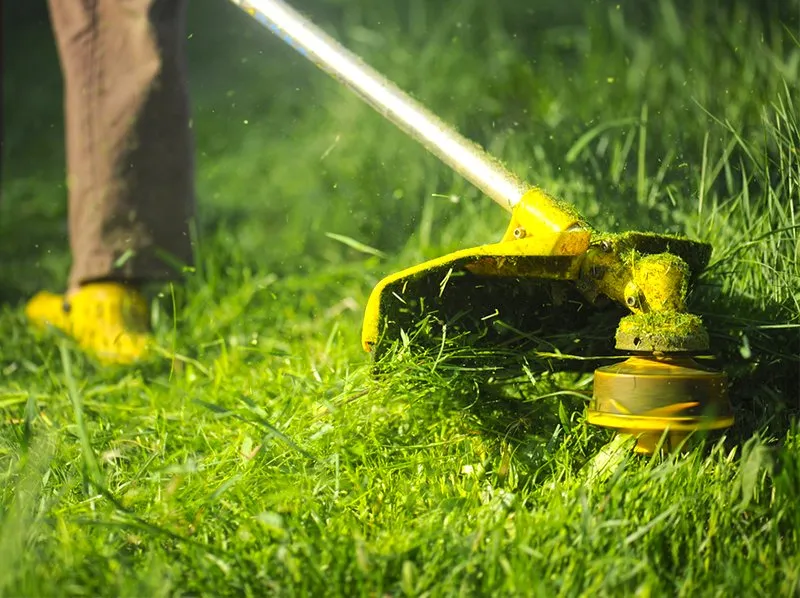 Affordable yard maintenance experts serving Herkimer, NY - Michael's Lawn Care and Snow Removal Service