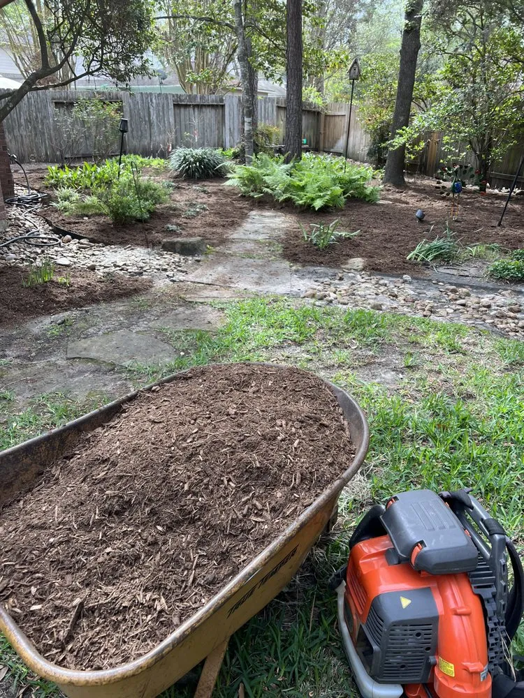 Affordable landscaping services in Cut and Shoot, TX by Michaels Lawn Care