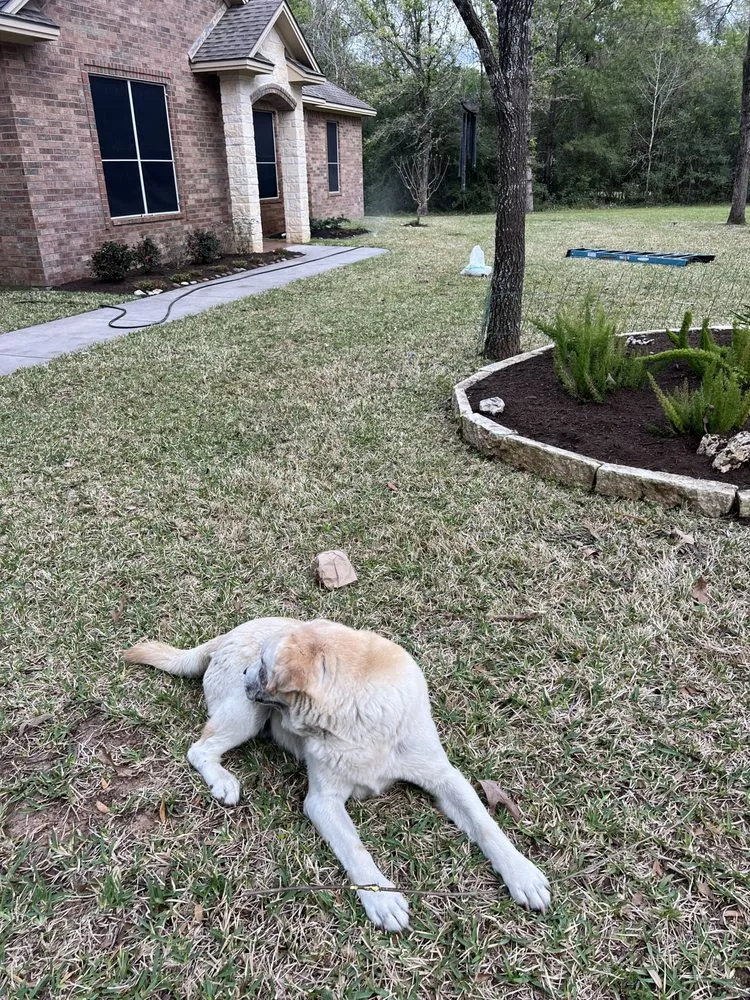 Professional landscaping services in Cut and Shoot, TX by Michaels Lawn Care