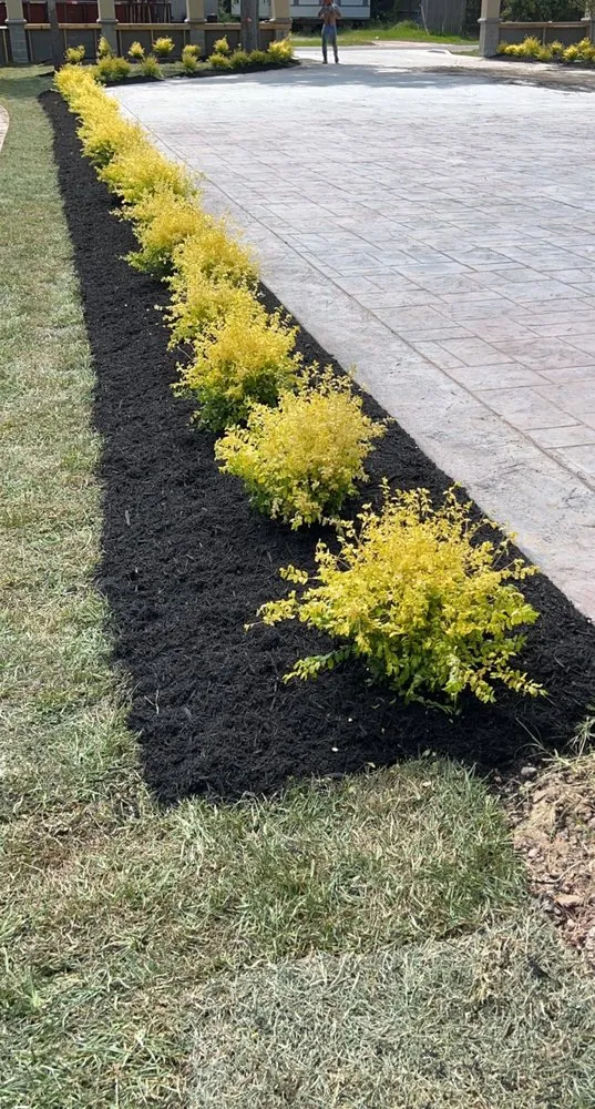 Trusted landscape installation experts serving Cut and Shoot, TX - Michaels Lawn Care