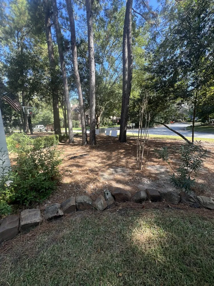 Affordable yard cleanup service in Cut and Shoot, TX - Michaels Lawn Care