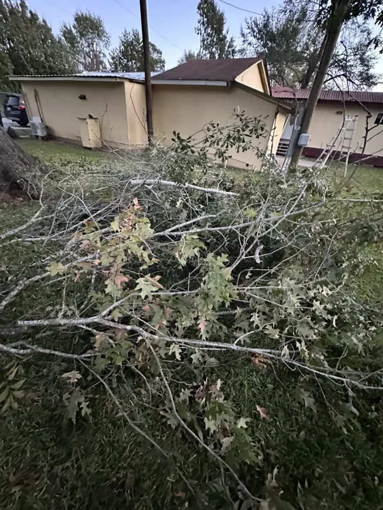 Expert landscaping services in Cut and Shoot, TX by Michaels Lawn Care