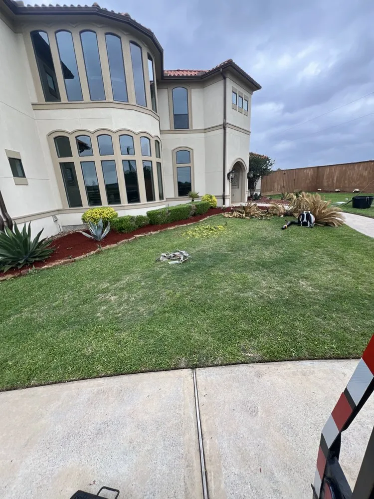 Local yard cleanup service experts serving Cut and Shoot, TX - Michaels Lawn Care