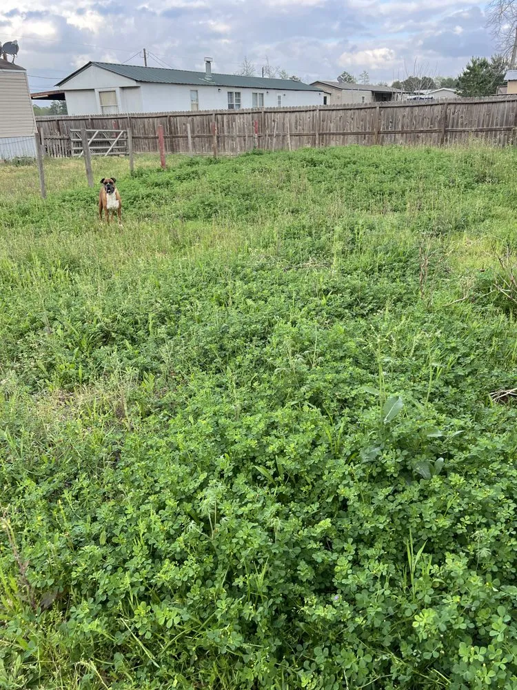 Reliable landscaping services near you across Cut and Shoot, TX - Michaels Lawn Care