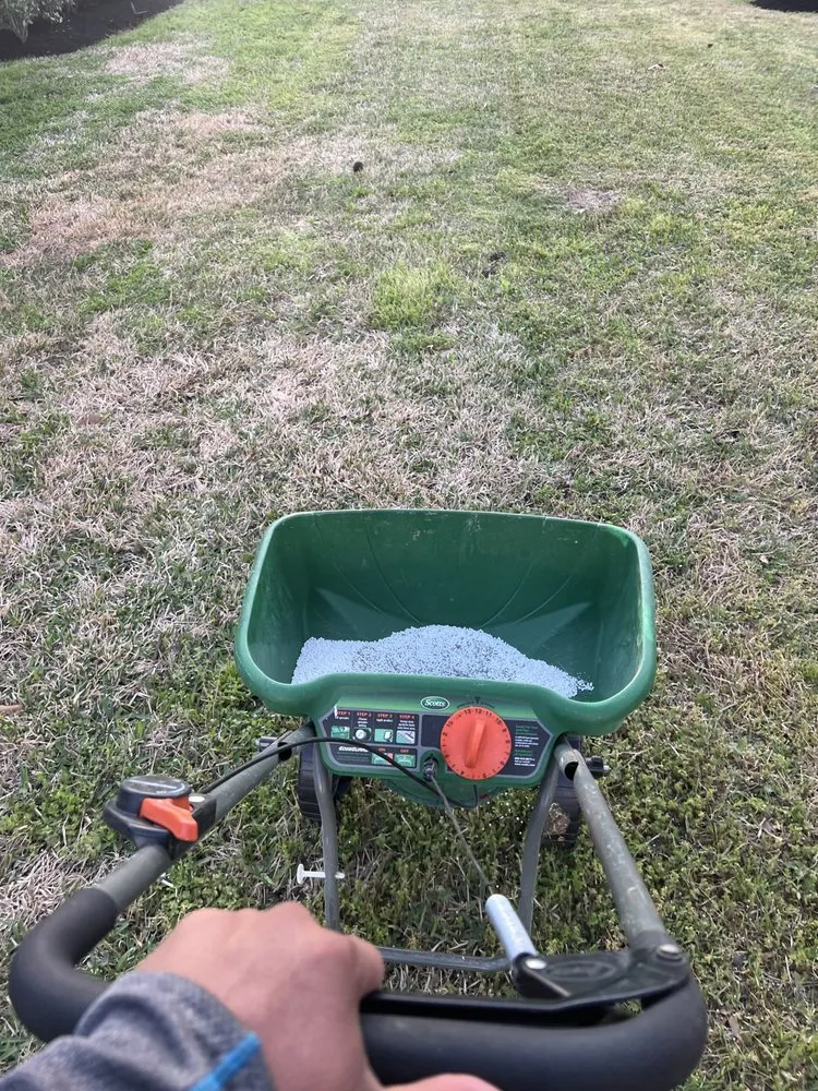 Reliable garden landscaping for year-round maintenance in Cut and Shoot, TX by Michaels Lawn Care
