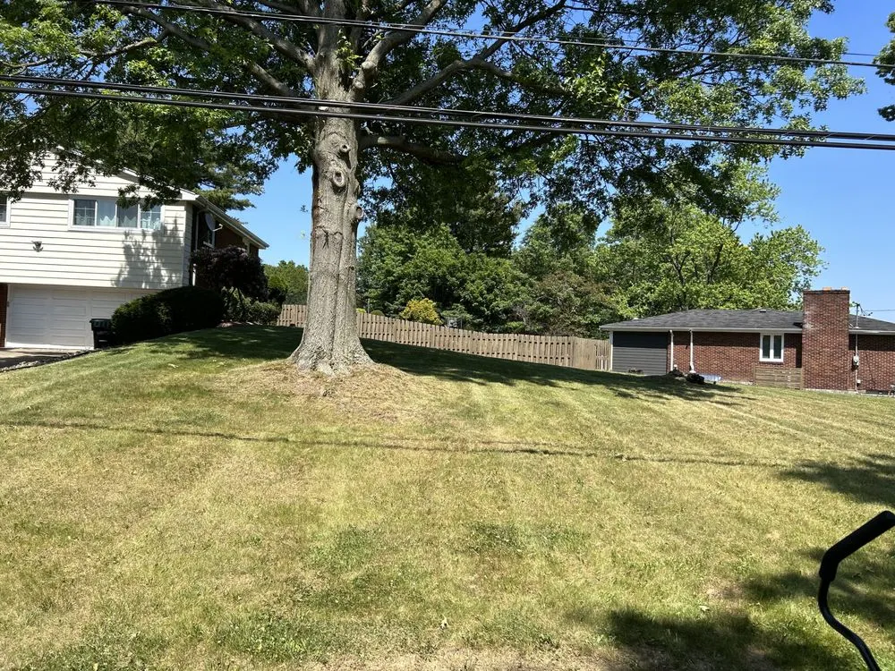 Reliable lawn care service experts serving Sewickley, PA - Michael’s Lawn Care