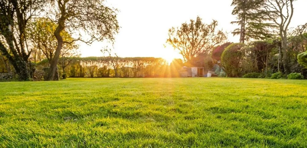 Custom lawn mowing service for year-round maintenance across York, PA - Michael’s Lawn Care