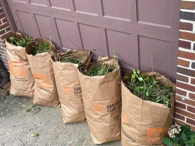 Professional lawn care service in York, PA by Michael’s Lawn Care