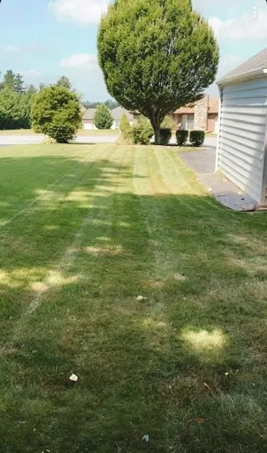 Reliable lawn care service for year-round maintenance in York, PA by Michael’s Lawn Care