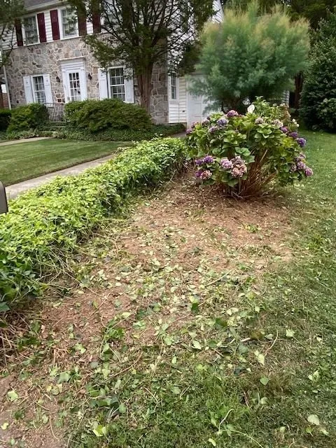 Professional garden landscaping experts serving York, PA - Michael’s Lawn Care