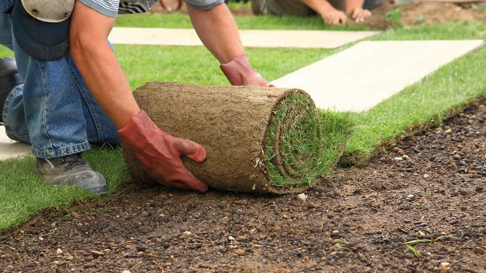 Professional lawn mowing service in Derby, CT - Michael's Lawns Of Shelton