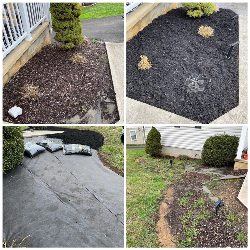 Expert landscaping services experts serving Johnson City, TN - Michael's Mastery Mowing