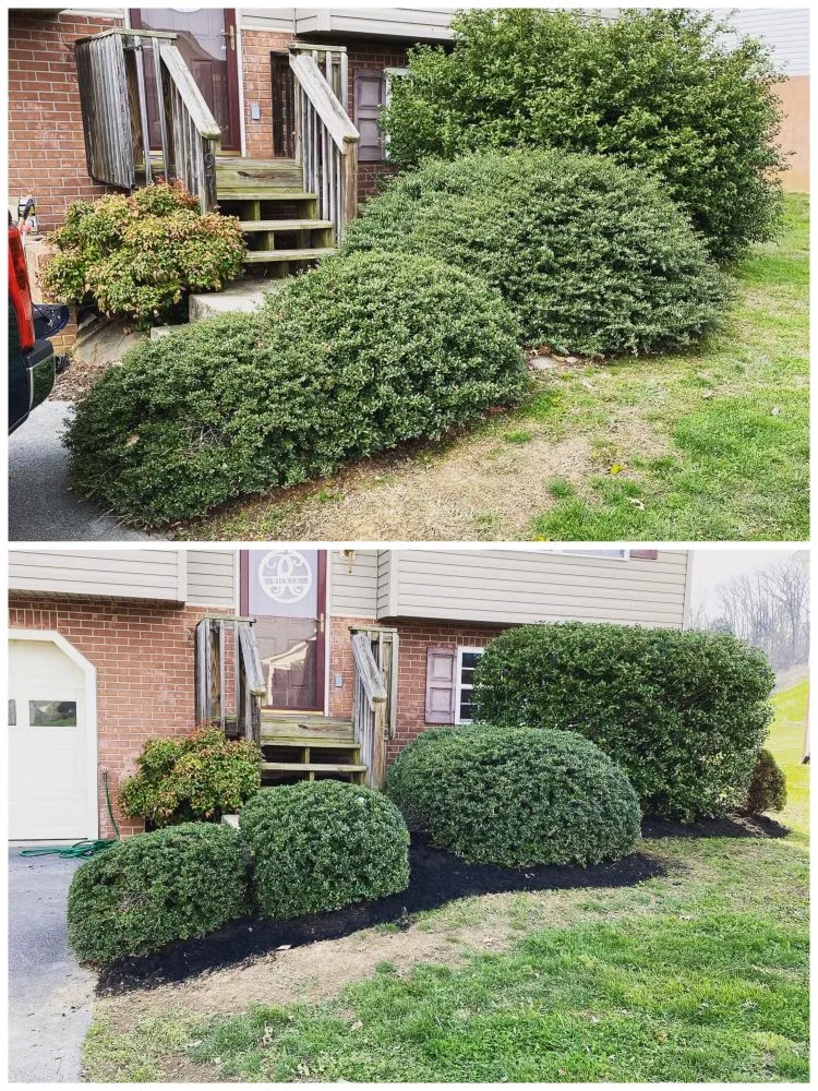 Custom landscaping services with custom design in Johnson City, TN by Michael's Mastery Mowing