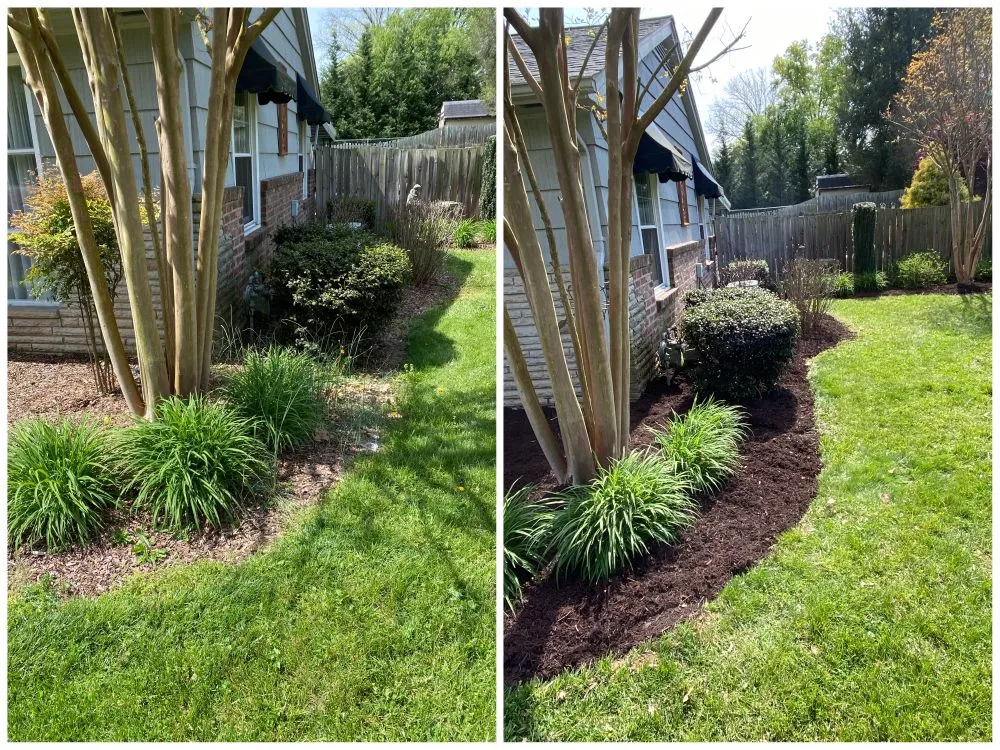 Reliable lawn mowing service in Johnson City, TN - Michael's Mastery Mowing