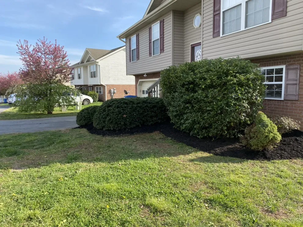 Custom landscaping services in Johnson City, TN by Michael's Mastery Mowing