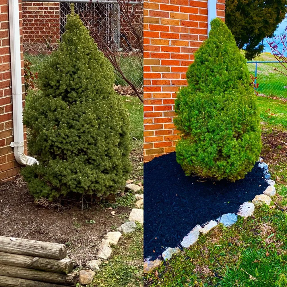 Expert lawn care service for homes in Johnson City, TN by Michael's Mastery Mowing