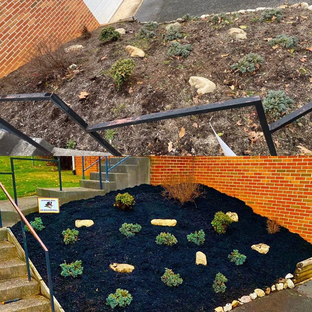 Local lawn mowing service in Johnson City, TN - Michael's Mastery Mowing