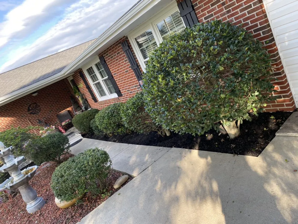 Reliable outdoor landscaping in Johnson City, TN - Michael's Mastery Mowing