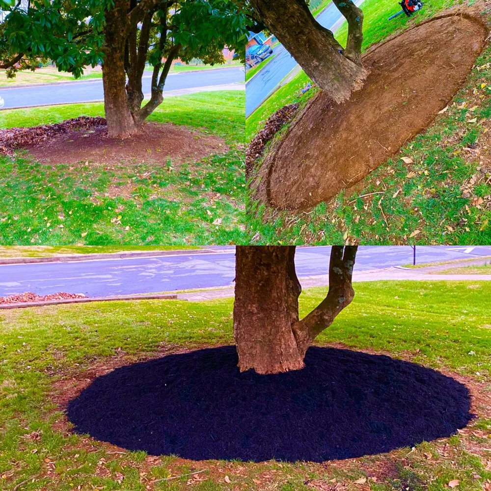 Trusted landscaping services in Johnson City, TN - Michael's Mastery Mowing