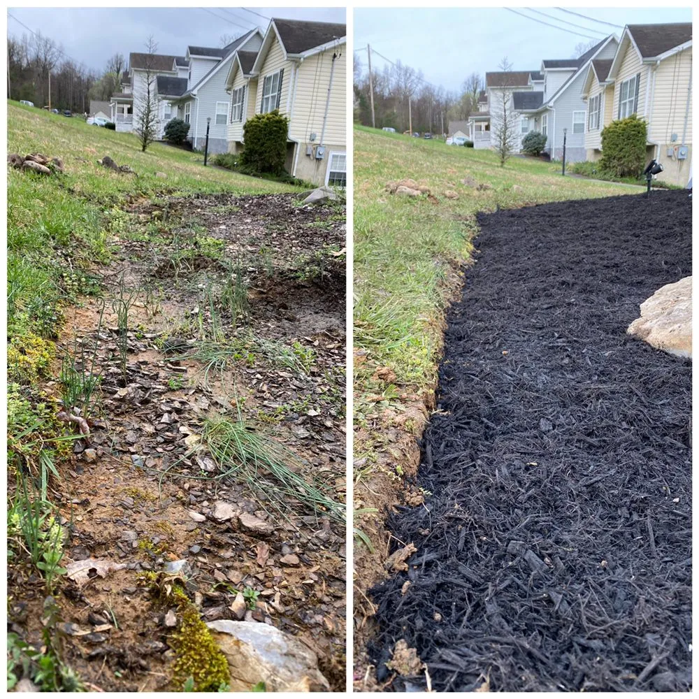 Trusted yard maintenance near you across Johnson City, TN - Michael's Mastery Mowing