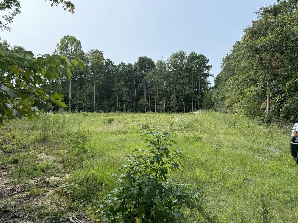 Top-rated yard cleanup service experts serving Denton, NC - Michael’s Mowing & More