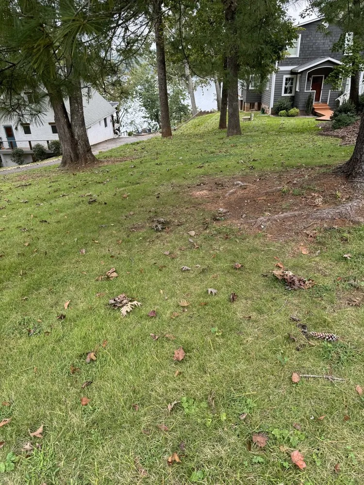 Custom yard cleanup service in Denton, NC - Michael’s Mowing & More
