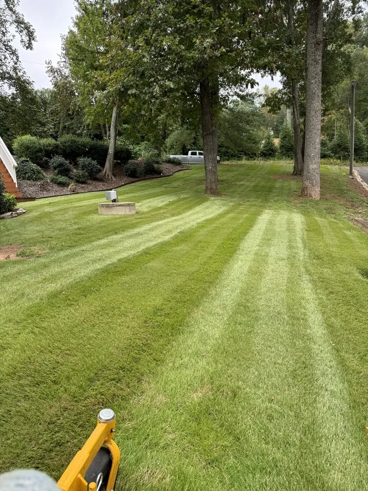 Reliable lawn care service for year-round maintenance in Denton, NC by Michael’s Mowing & More