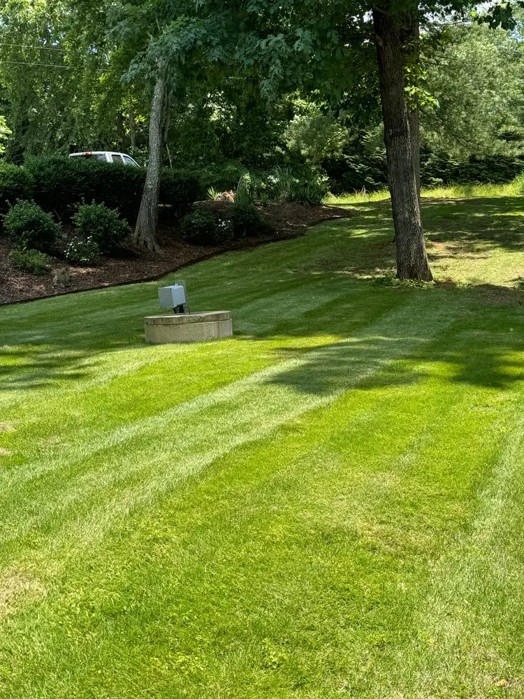 Local lawn mowing service for residential properties in Denton, NC by Michael’s Mowing & More