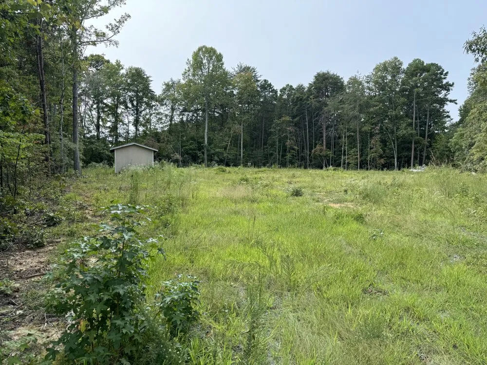 Affordable yard cleanup service in Denton, NC - Michael’s Mowing & More