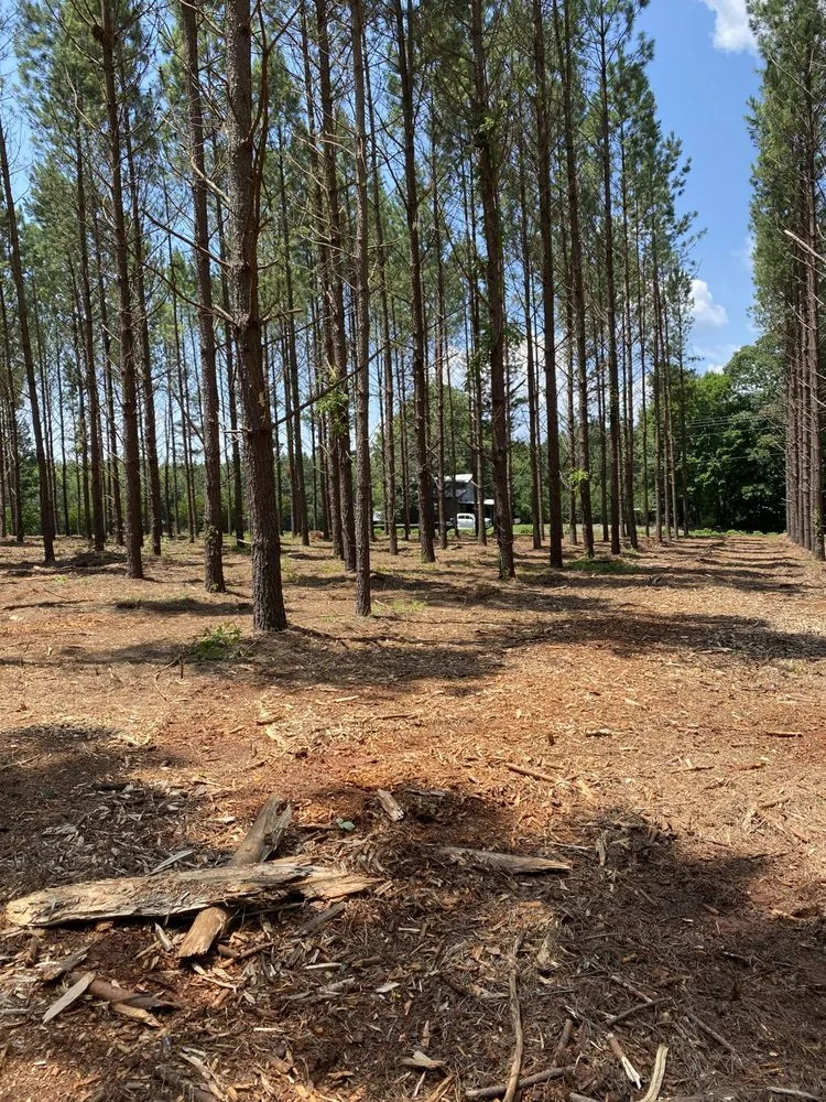 Custom lawn mowing service experts serving Denton, NC - Michael’s Mowing & More