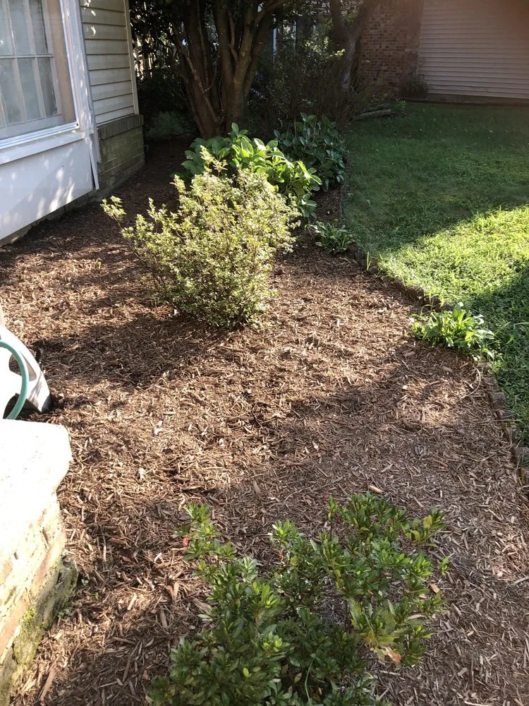 Top-rated yard maintenance in Falls Church, VA by Michael’s Services