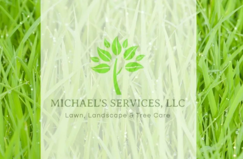 Professional landscaping services near you across Falls Church, VA - Michael’s Services