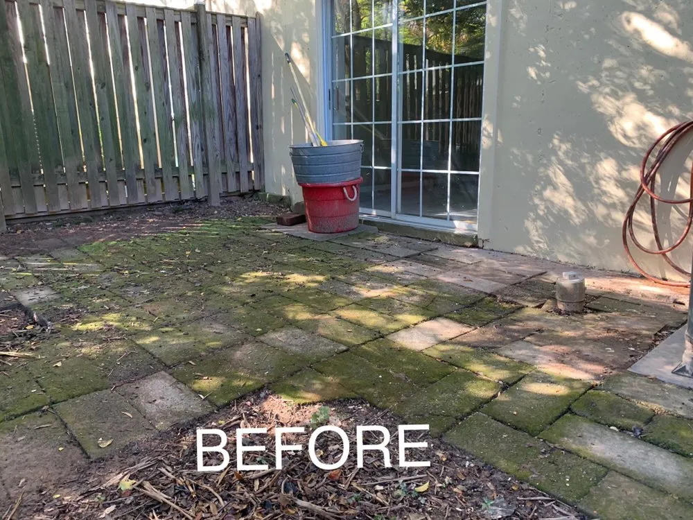 Expert landscaping services in Falls Church, VA by Michael’s Services