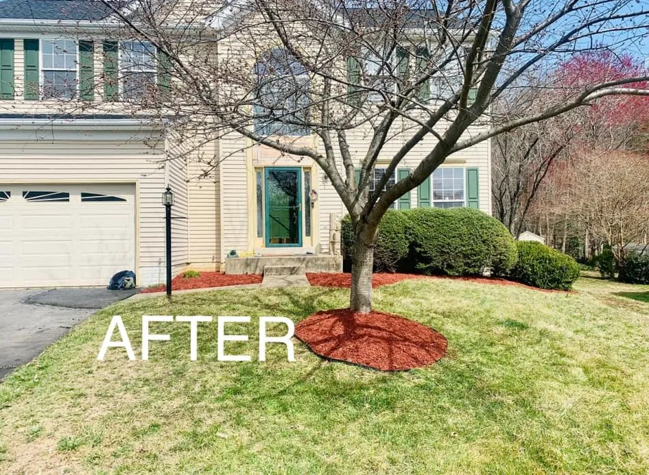 Affordable lawn care service for outdoor upgrades across Falls Church, VA - Michael’s Services