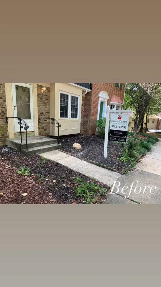 Professional yard cleanup service for outdoor upgrades in Falls Church, VA by Michael’s Services