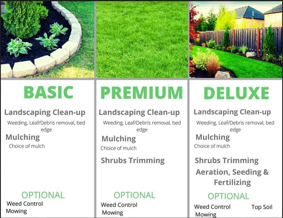 Professional lawn care service for beautiful yards across Falls Church, VA - Michael’s Services