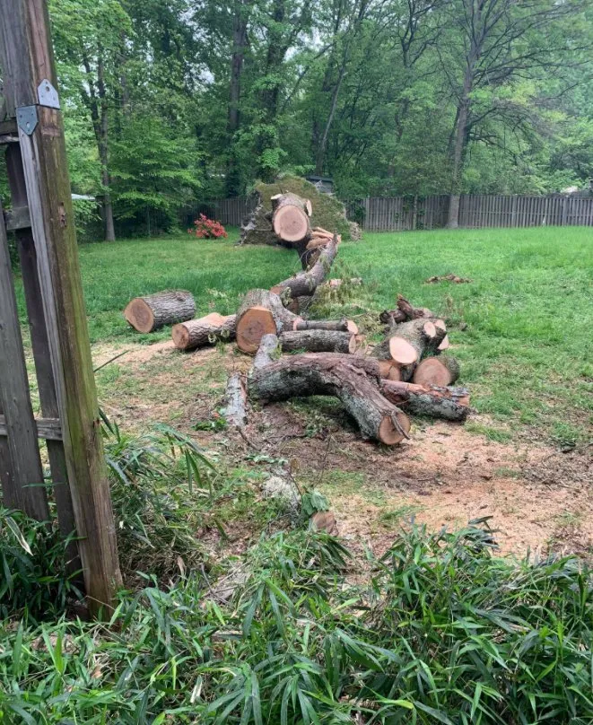 Custom landscape design in Falls Church, VA - Michael’s Services