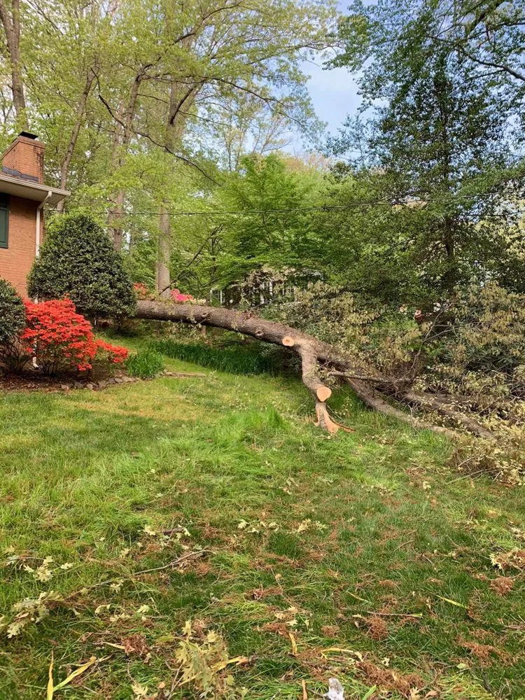 Custom landscape design for outdoor upgrades across Falls Church, VA - Michael’s Services