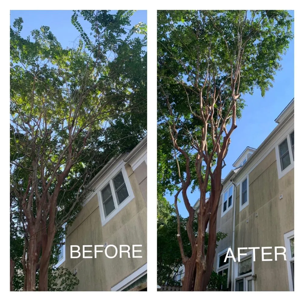 Local lawn care service for residential properties across Falls Church, VA - Michael’s Services