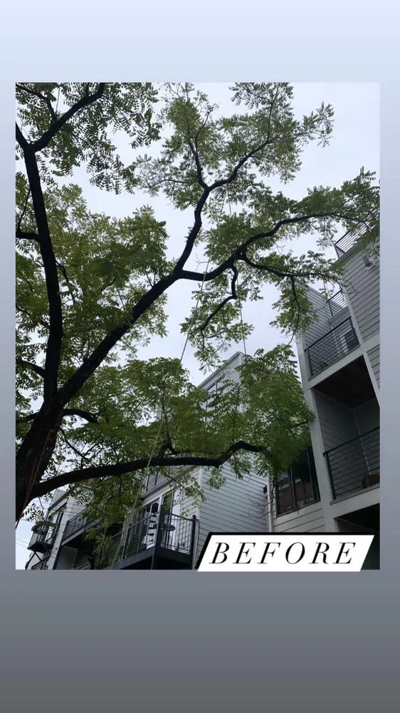 Reliable garden landscaping experts serving Falls Church, VA - Michael’s Services