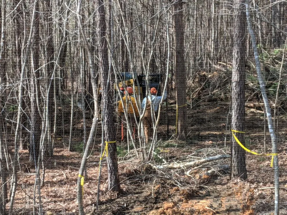 Top-rated lawn mowing service experts serving Durham, NC - Michael's Tree & Landscape Service