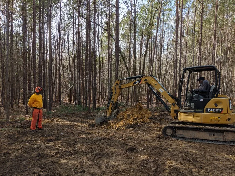 Local lawn care service for residential properties across Durham, NC - Michael's Tree & Landscape Service