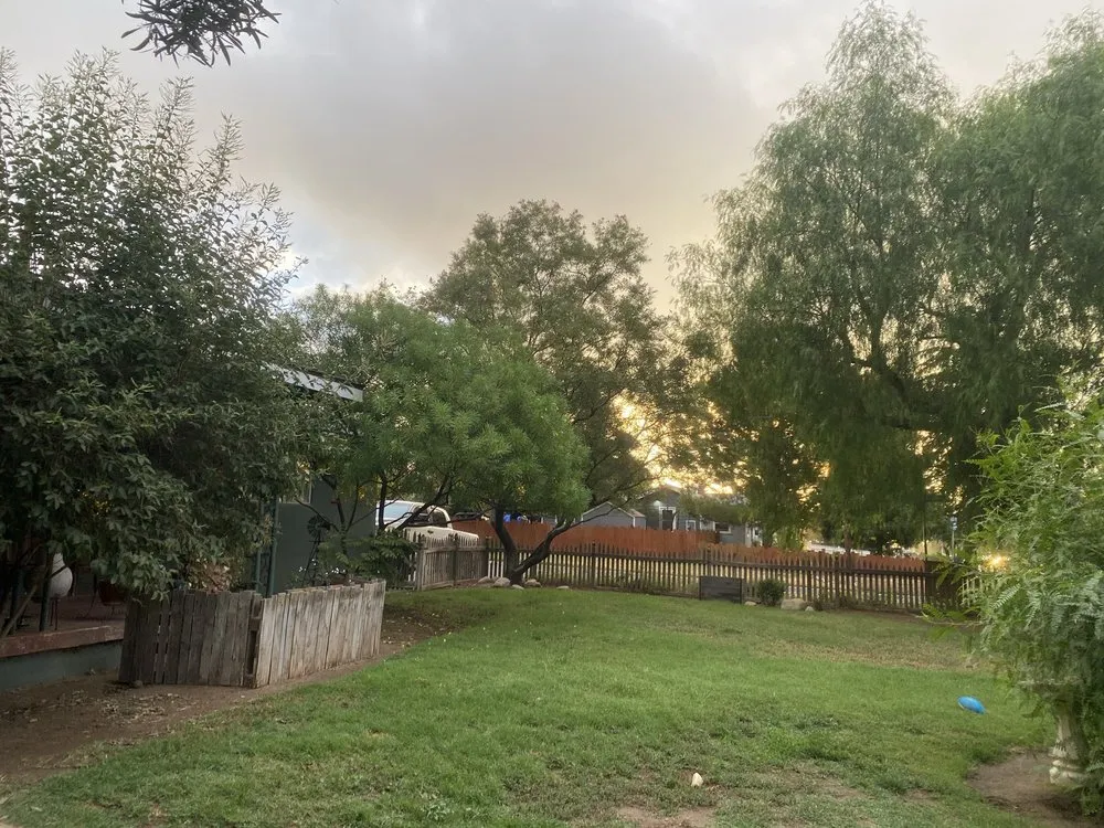 Top-rated yard maintenance for residential properties in Beaumont, CA by Michael's Tree Service