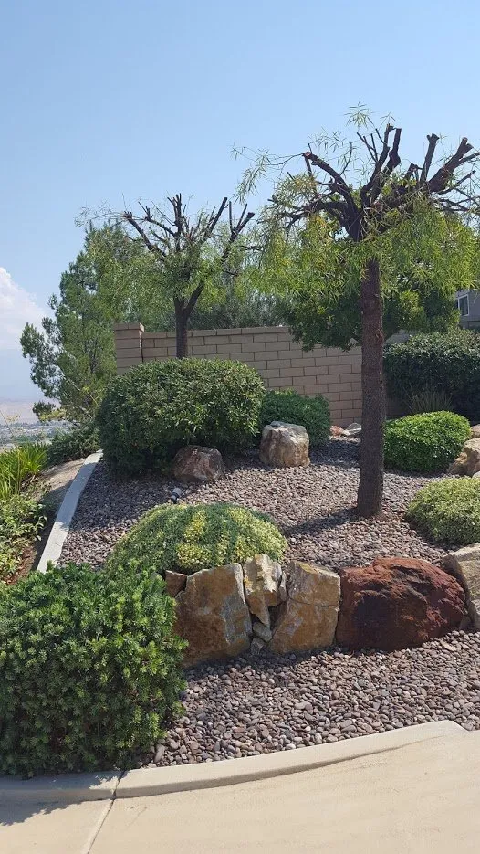 Top-rated garden landscaping for outdoor upgrades in Beaumont, CA by Michael's Tree Service