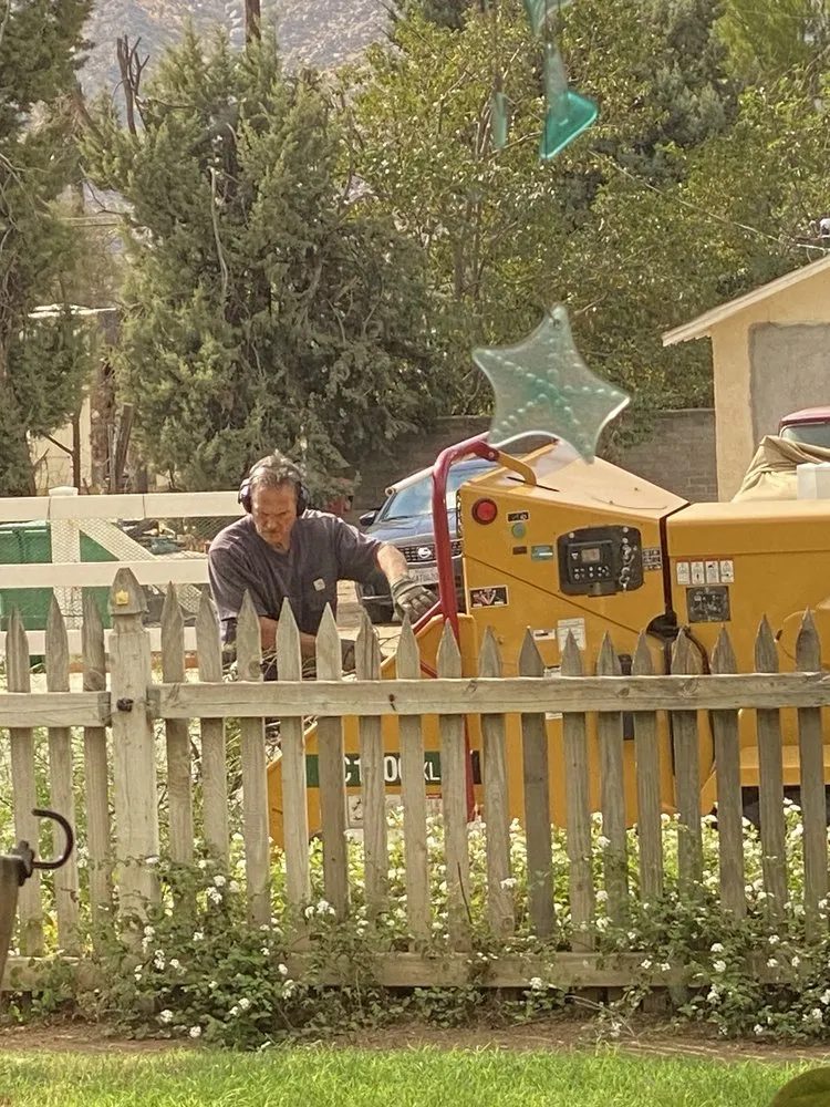 Local landscape design in Beaumont, CA by Michael's Tree Service