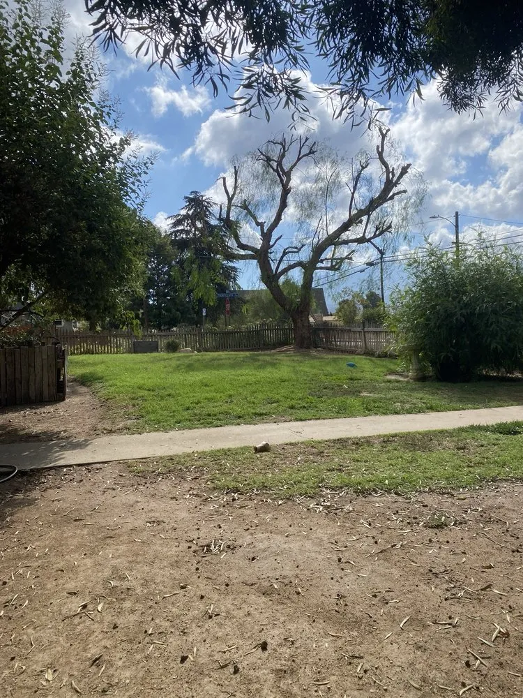 Trusted residential landscaping experts serving Beaumont, CA - Michael's Tree Service