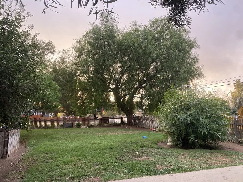 Expert lawn care service in Beaumont, CA by Michael's Tree Service